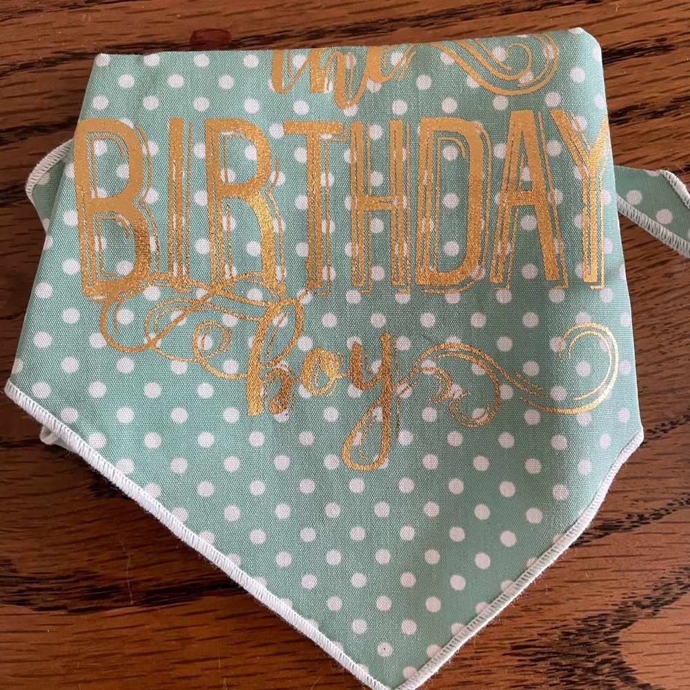 🎉Host Pick🎉 The Birthday Boy Neck Bandana by Tail Trends for your sweet dog